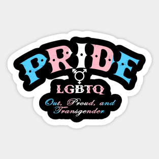 Transgender Pride - CBs style - Trans Pride Flag Sticker